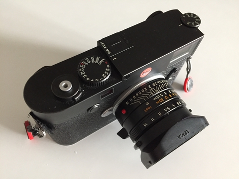 IMG_2479.jpg IMG 2479