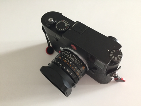 IMG_2480.jpg IMG 2480