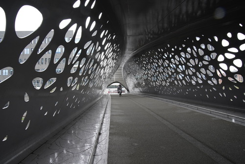 _SER1342.jpg SER1342