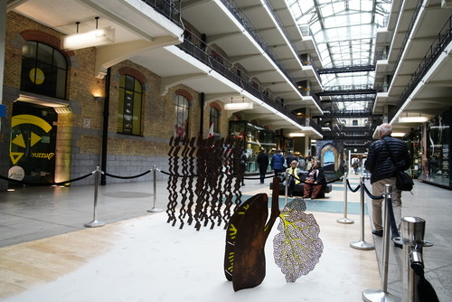 _SER1705.JPG SER1705