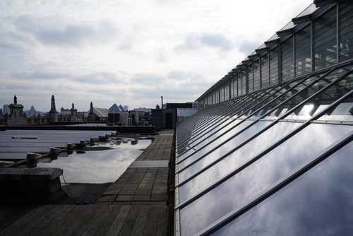 _SER1816.JPG SER1816