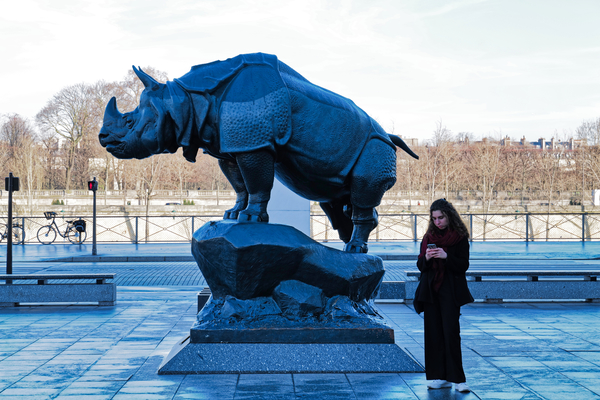 04-Paris1_Orsay rhino.jpg 04 Paris1 Orsay rhino
