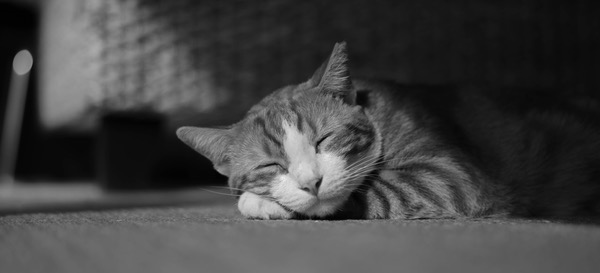 A sunny quiet Sunday afternoon.jpg A sunny quiet Sunday afternoon