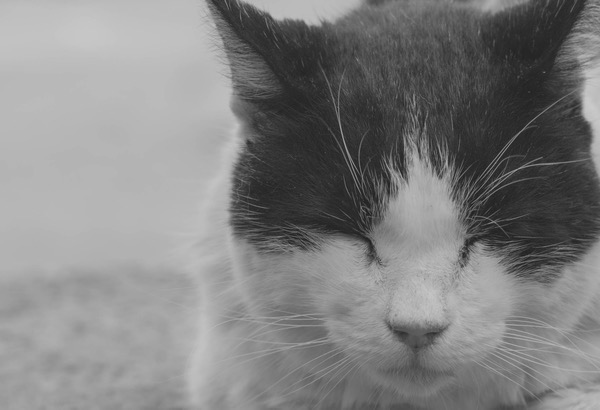 His name is Will.jpg His name is Will