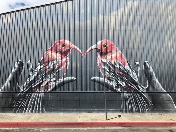 image007.jpg Image007