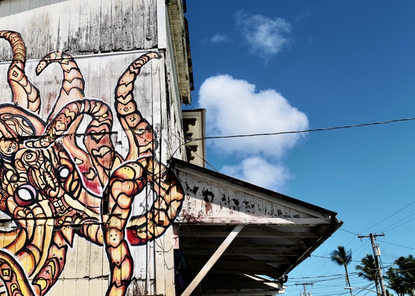 L1000414.jpg L1000414