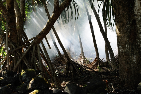 L1000446.jpg L1000446