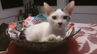 mms_img-968752573.jpeg Mms img 968752573