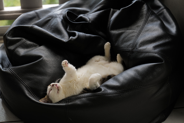 10_L1000677.JPG 10 L1000677