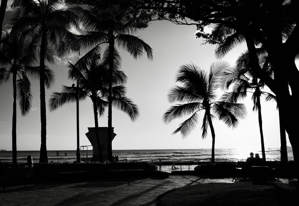 10_Lifeguard.jpg 10 Lifeguard