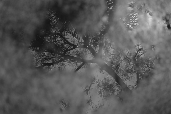 1_L1000556.JPG 1 L1000556