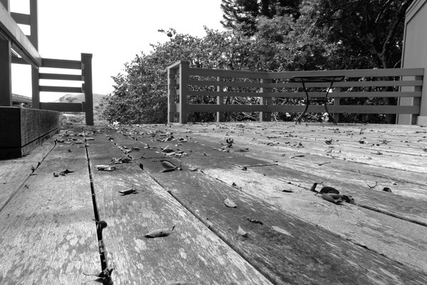 2_L1000573.JPG 2 L1000573