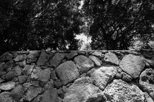 3_L1000577.JPG 3 L1000577