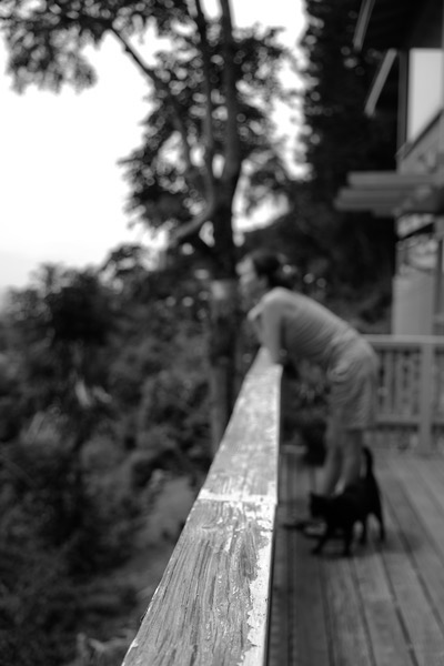 5_L1000608.JPG 5 L1000608