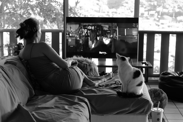 6_L1000716.JPG 6 L1000716