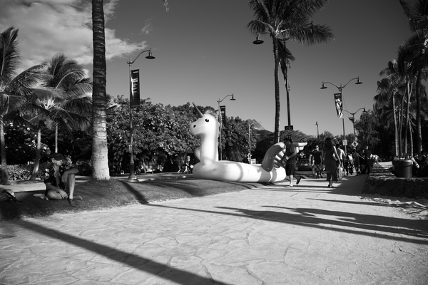 9_Unicorn.jpg 9 Unicorn