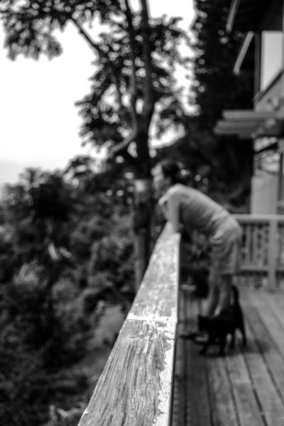 Stay Home Order.jpg Stay Home Order