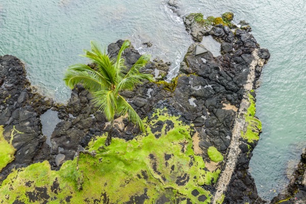 Hilo Bay 2.jpg Hilo Bay 2